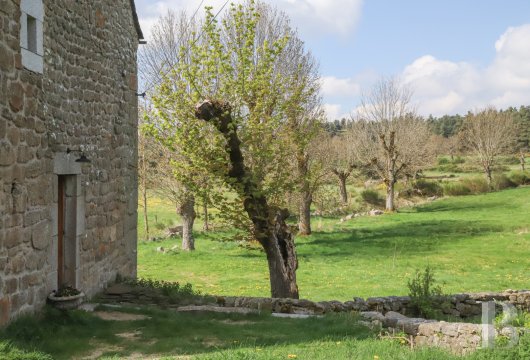An old farm and dovecote in Lozère, at the entrance to the Aubrac plateau - photo  n°30